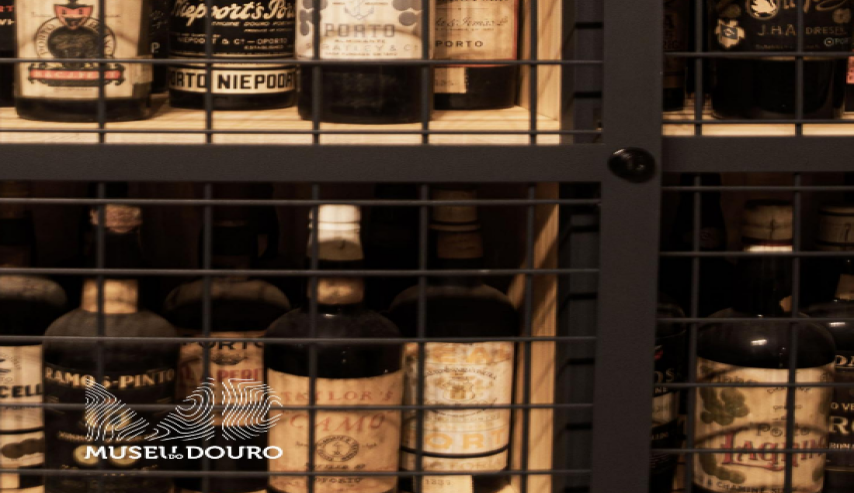 Bloco de Notas do MD