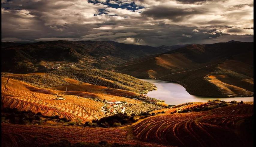 Rui Pires na Coleção do Museu do Douro