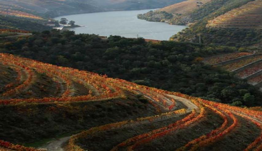 Douro e outras Cores, João Paulo Sotto Mayor